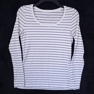 Land's End Fitted Shirt Size XS White With Brown Stripes Long Sleeve #1175‎